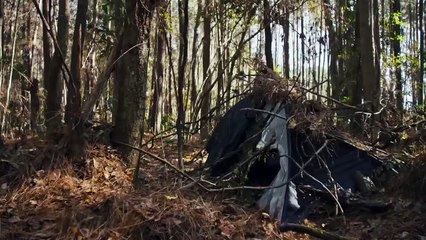 Arbor Demon | movie | 2017 | Official Trailer