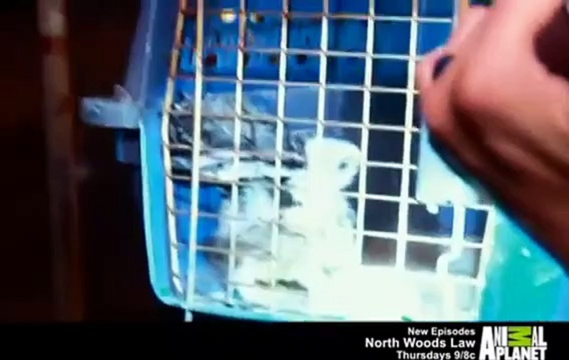 Lone Star Law - Se1 - Ep06 - Gator Bait HD Watch