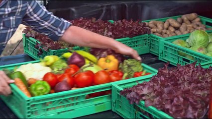 Regenerating Australia | movie | 2022 | Official Trailer