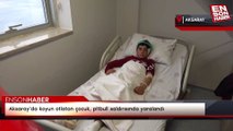 Aksaray’da koyun otlatan çocuk, pitbull saldırısında yaralandı