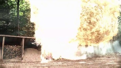 Romance in the Wilds | movie | 2021 | Official Trailer