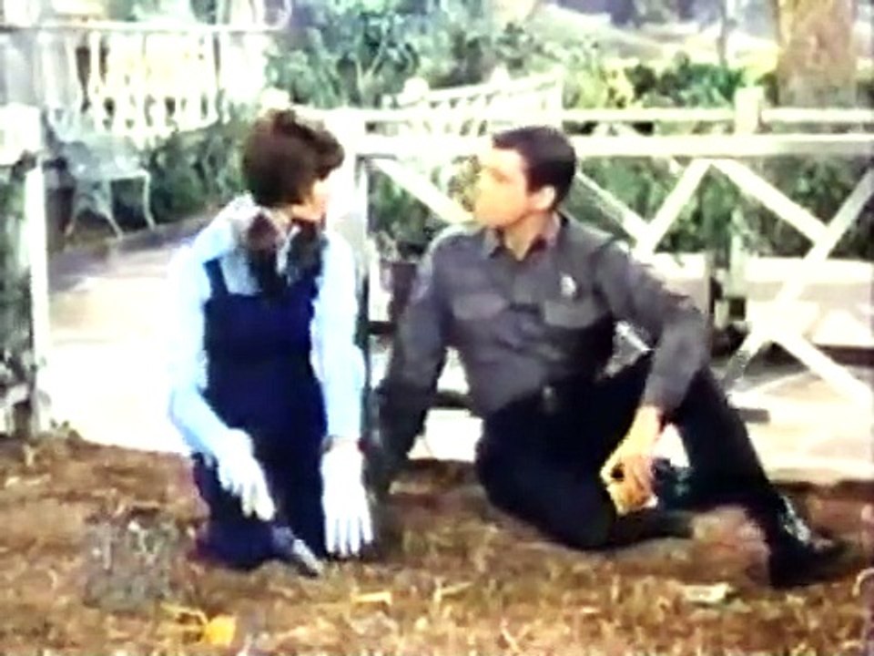 Petticoat Junction - Se7 - Ep14 HD Watch