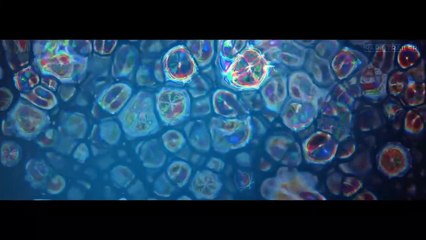 Chimera Strain | movie | 2019 | Official Trailer