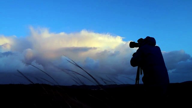 In the Theatre of the Gogs | movie | 2021 | Official Trailer