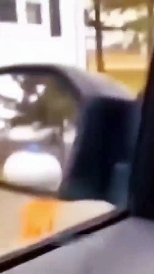 ⁣Funny moments Animals