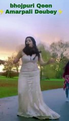 भोजपुरी सिनेमा आम्रपाली दुवे (Amrapali Dubey bhojpuri cinema)