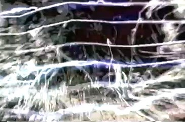 DNA (1996) Official Trailer – A Jungle Creature Comes Alive! 🧬