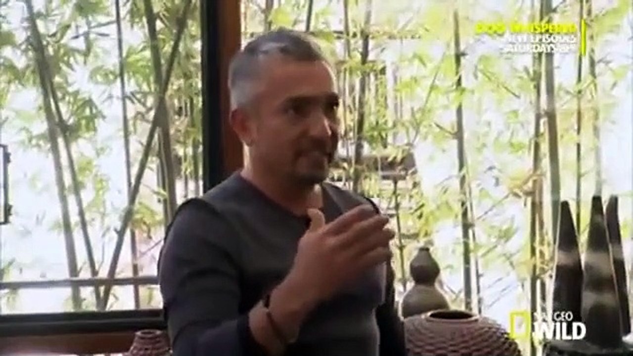Dog Whisperer with Cesar Millan - Se8 - Ep01 HD Watch