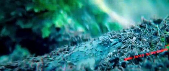 Elves 2021 S01 E06