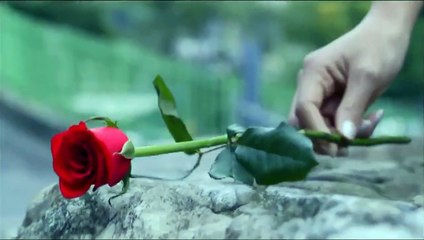 Beauty Wars | movie | 2013 | Official Trailer