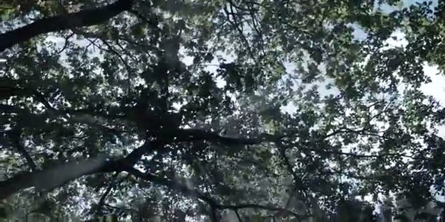 The Rain - Se2 - Ep04 HD Watch