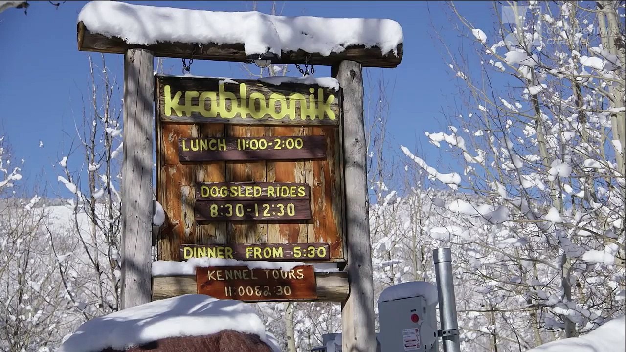 Sled Dogs movie 2017 Official Trailer video Dailymotion