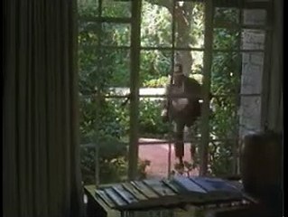 Scenes of the Crime | movie | 2002 | Official Trailer