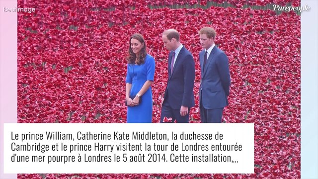 Harry se mêle de la vie des enfants de William, le prince hors de lui : réplique cinglante