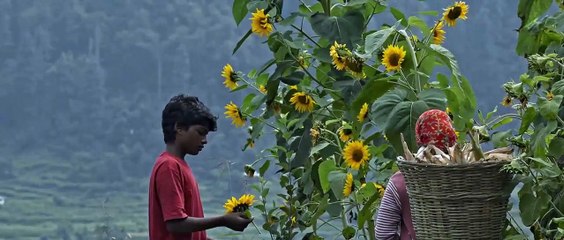 Sound of Silence | movie | 2017 | Official Trailer