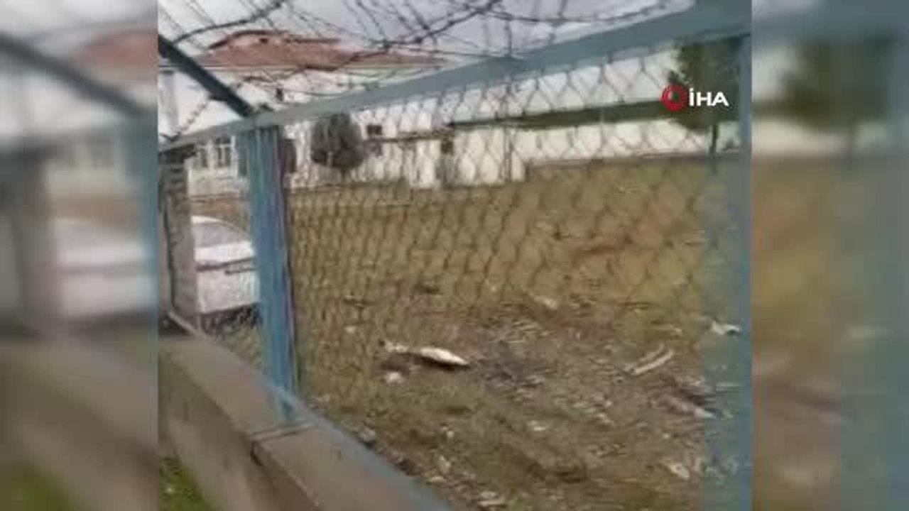 Babasının arabasını kaçıran çocuk duvara çarparak durabildi: 1 yaralı