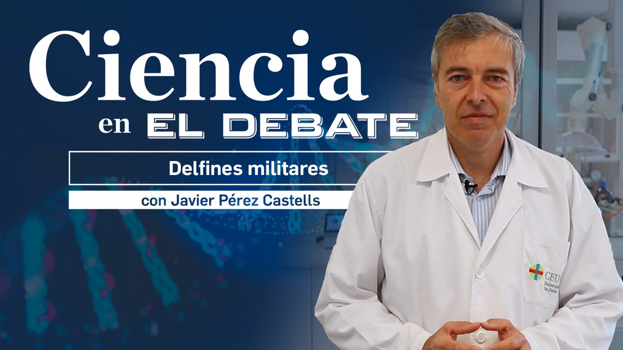 Castells revela la realidad de los delfines militares