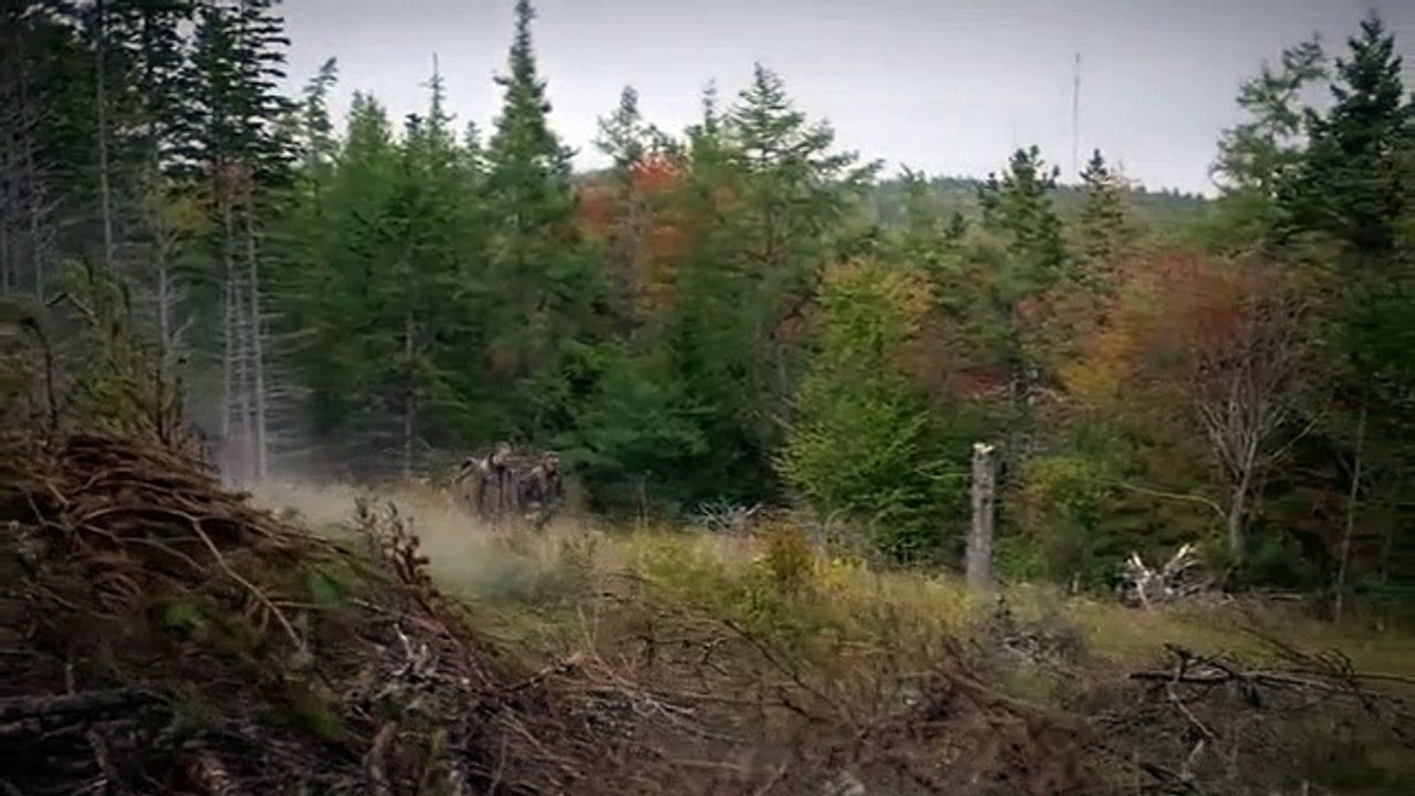 These Woods Are Haunted - Se3 - Ep05 I See It Landing in Our Backyard and I Was Trapped HD Watch