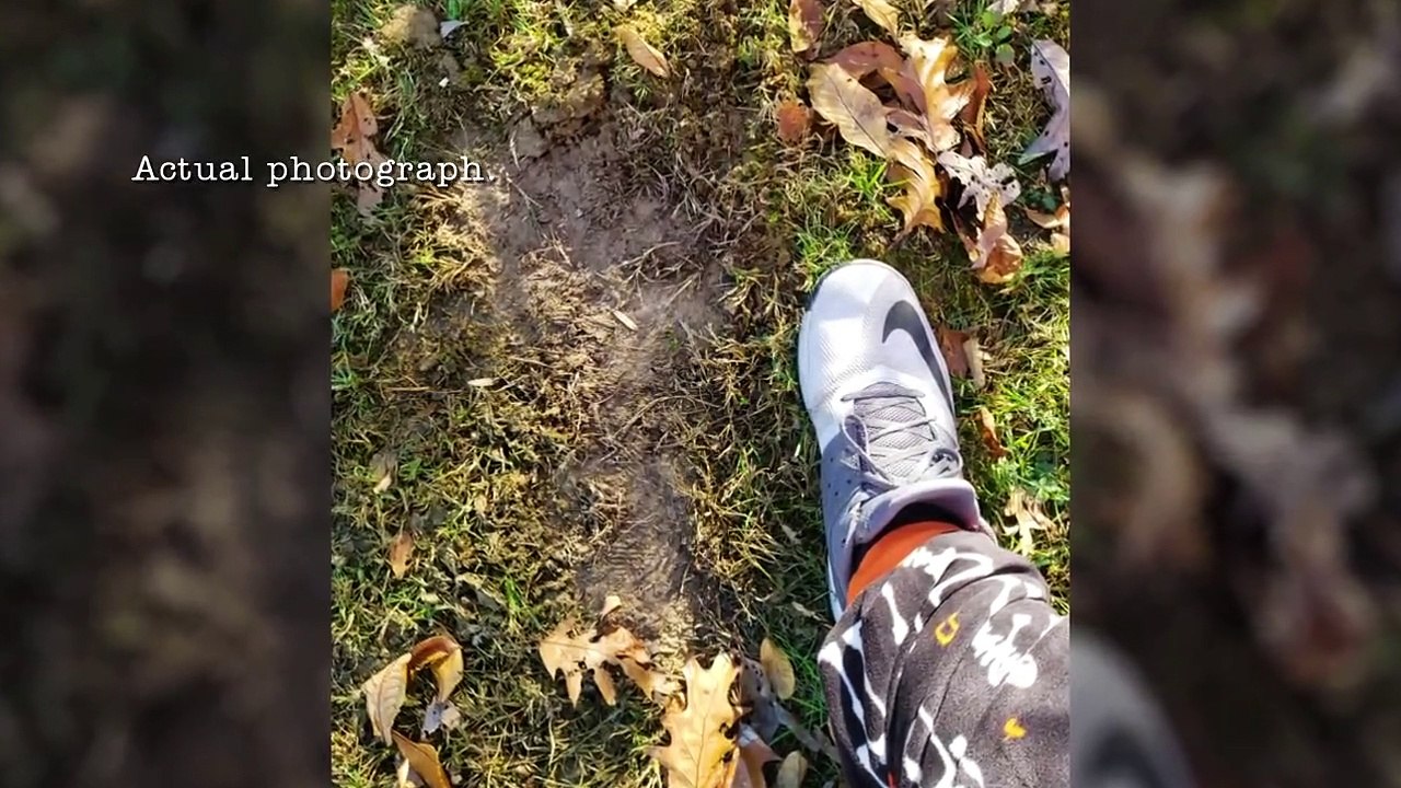 These Woods Are Haunted - Se3 - Ep07 HD Watch