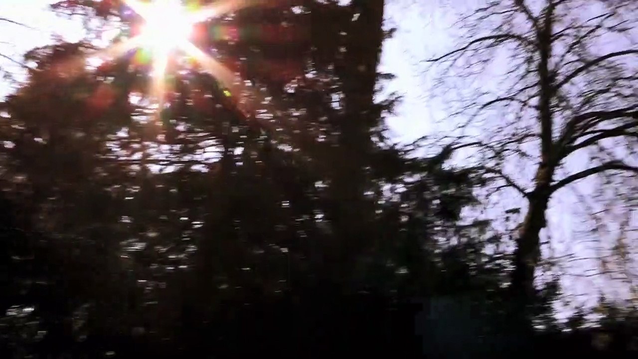 Back from Hell | movie | 2012 | Official Trailer