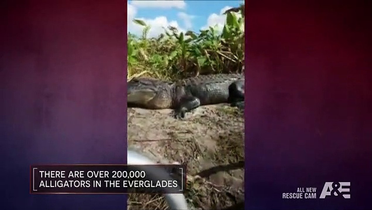 Rescue Cam - Se1 - Ep03 HD Watch