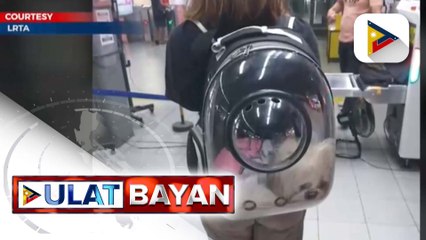 Mga alagang hayop, pwede nang isakay sa LRT-2 simula ngayong araw