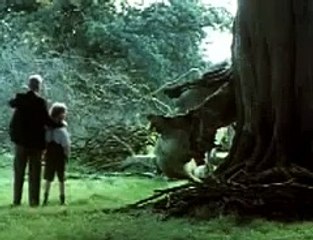 Fools of Fortune | movie | 1990 | Official Trailer