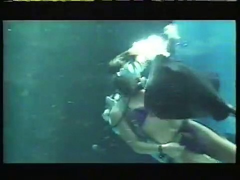 Saved by the Bell: Hawaiian Style | movie | 1992 | Official Trailer