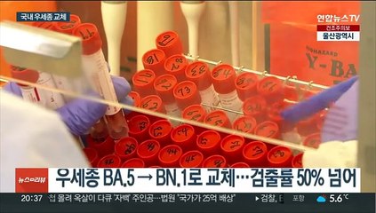 BN.1 우세종됐다…"국내 유행 큰 영향 없을 듯"