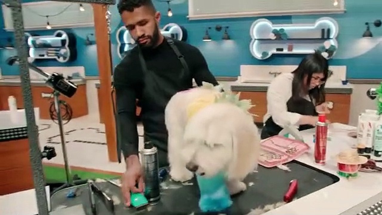 Pooch Perfect - Se1 - Ep07 HD Watch