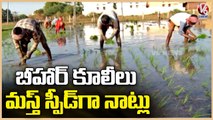Other States Coolies In Paddy Cultivation Works | Nizamabad | V6 News