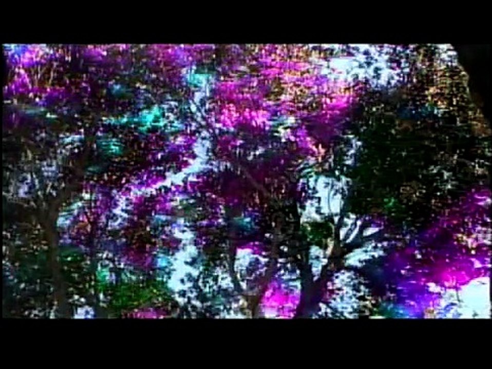 Carlos Castaneda Enigma of a Sorcerer movie 2004 Official