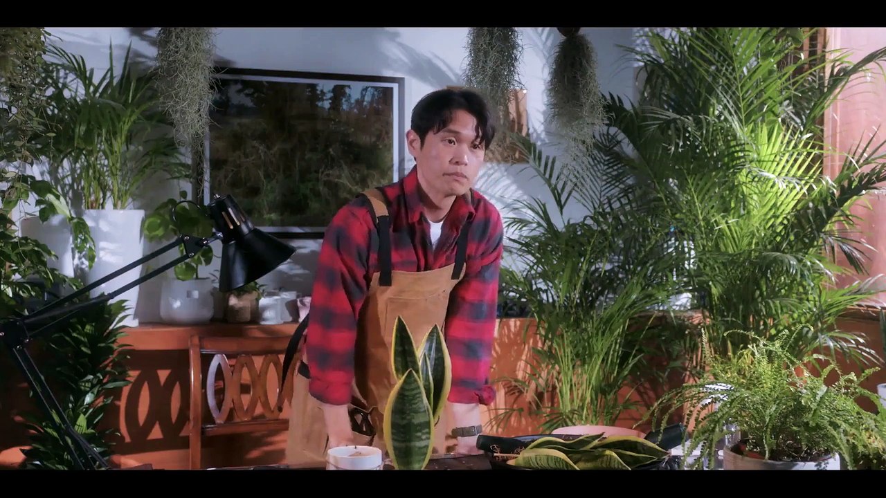 Plant Cafe, Warmth (2021) Watch HD