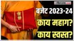 Union Budget 2023: या अर्थसंकल्पानुसार कोणत्या गोष्टी महागणार आणि कोणत्या स्वस्त होणार? जाणून घ्या