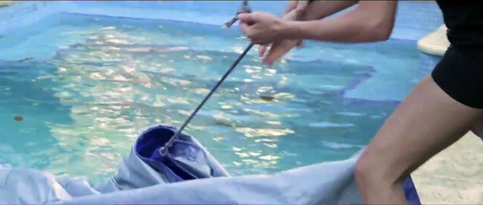 The Memory of Water | movie | 2015 | Official Trailer
