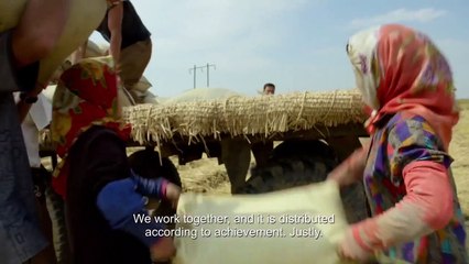 My Brothers and Sisters in the North | movie | 2016 | Official Trailer