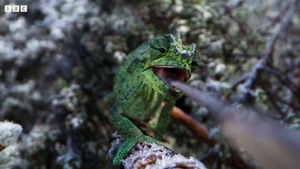 Frozen Planet II | show | 2022 | Official Trailer