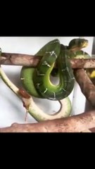 942f3d17-cc89-4093-bee8-0afcc2028c1b