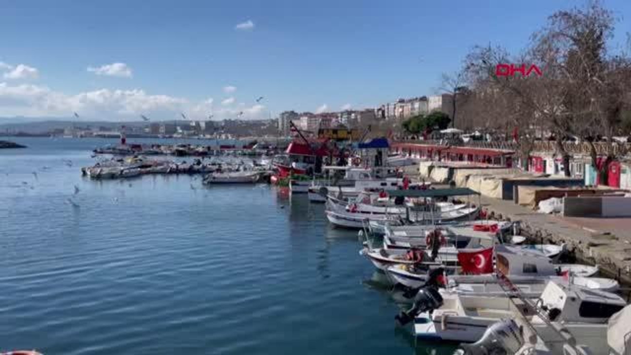 TEKİRDAĞ'DA BALIKÇILARDA KARİDES BEREKETİ
