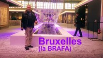 Belgique: Bruxelles (BRAFA)