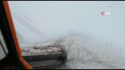 Antalya Alacabel'de kar ve tipi hayatı olumsuz etkiledi