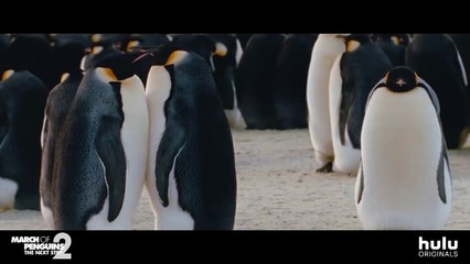 March of the Penguins 2: The Next Step | movie | 2017 | Official Trailer