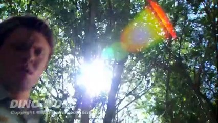 Dire Wolf | movie | 2009 | Official Trailer