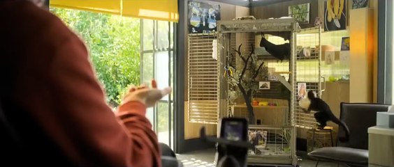 Gigi & Nate | movie | 2022 | Official Trailer