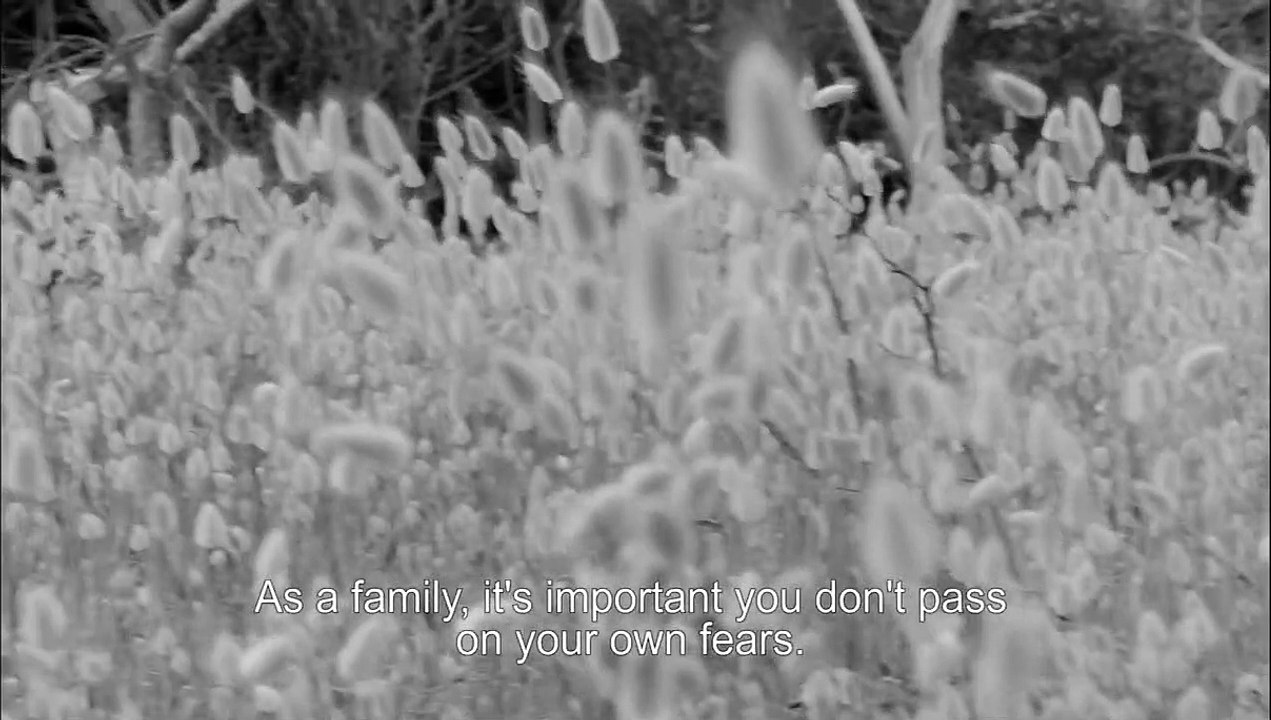 The Dog Who Wouldn't Be Quiet | movie | 2021 | Official Trailer