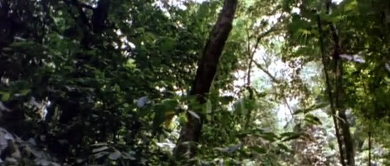 Greystoke: The Legend of Tarzan, Lord of the Apes | movie | 1984 | Official Trailer