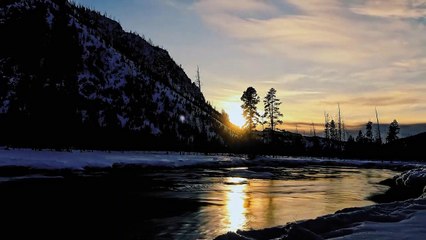 Yellowstone: One-Fifty | show | 2022 | Official Trailer