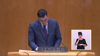 Sánchez asegura que "no se puede discutir el compromiso feminista de su Gobierno" y lamenta los insultos por parte del PP