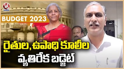 Minister Harish Rao Comments On Central Govt Over Budget 2023 | V6 News