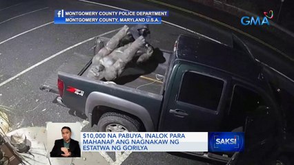 $10,000 na pabuya, inalok para mahanap ang nagnakaw ng estatwa ng gorilya | Saksi